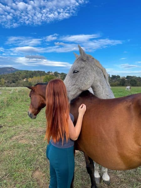 Caballo rescatado en Cavalls Mas El Pla