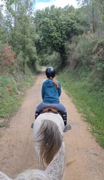 Caballo rescatado en Cavalls Mas El Pla